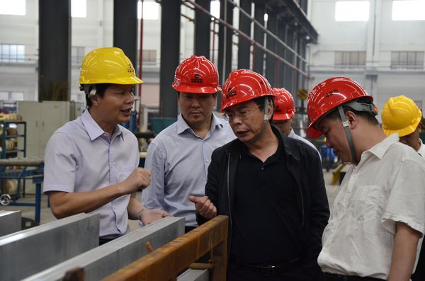 中國有色金屬工業協會文獻軍副會長一行蒞臨我公司指黯工作
