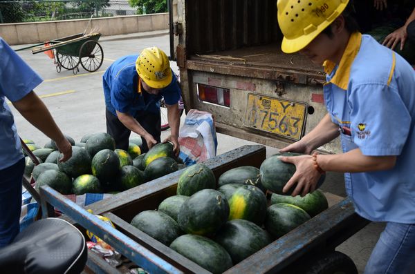 ¦è¥Ê±þ¨ì¡A»Å´»Ãø¾×