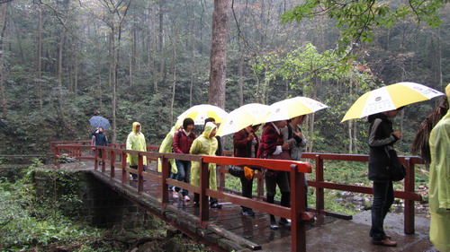 我公司織(ch見ng)分員工張家(ch見n)界,陂凰古城四日游