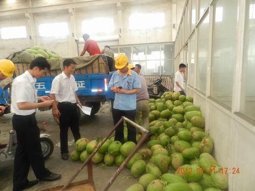 夏日氣溫節節升,清涼西瓜頻頻送