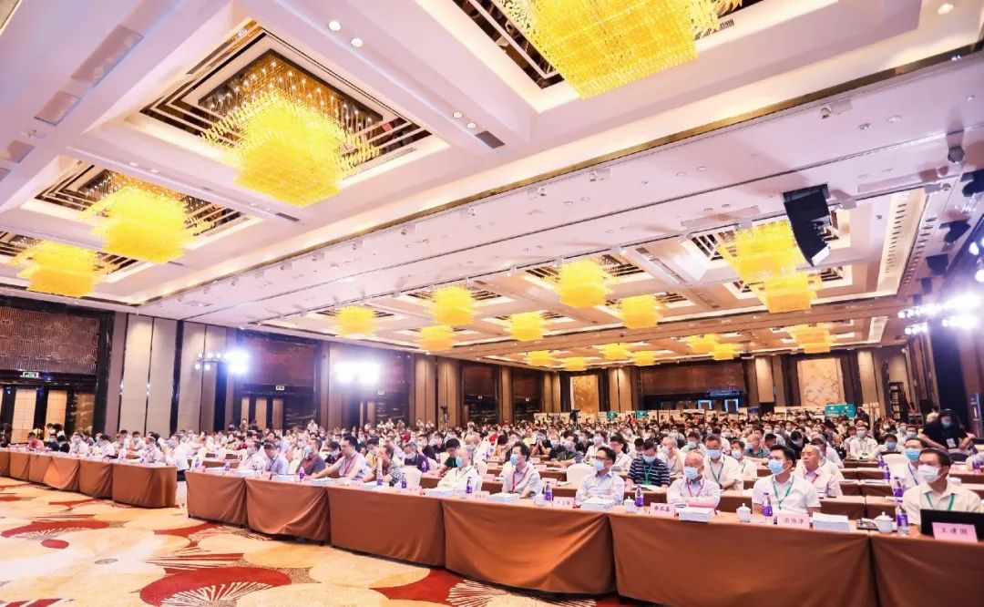 2020~T[u~~פj|݁A|`xƪTA¥DuP~sͺA